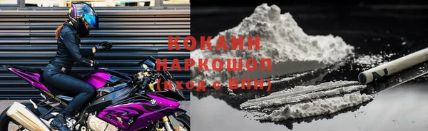 крисы Алзамай