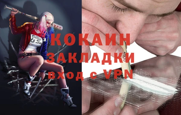 крисы Алзамай