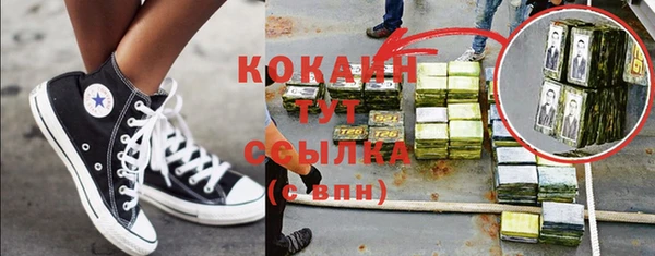 крисы Алзамай