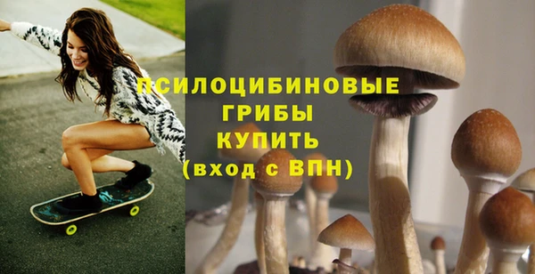 гидропоника Алексин