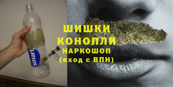крисы Алзамай