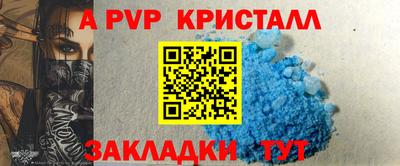 СК Гатчина
