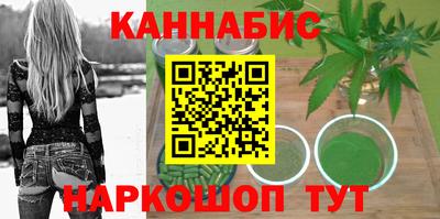 дмт Гай