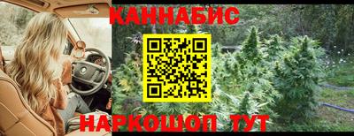 СК Гатчина