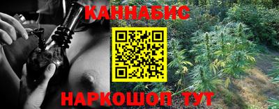 дмт Гай