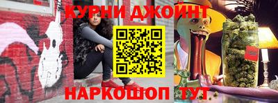 СК Гатчина