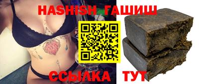 СК Гатчина
